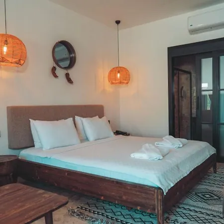 Hotel 222 4*